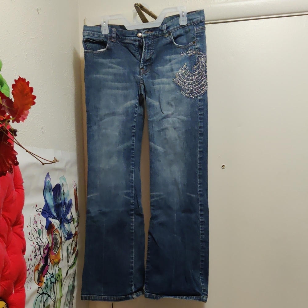 The Limited Blue Flare Jeans with Embellished Design